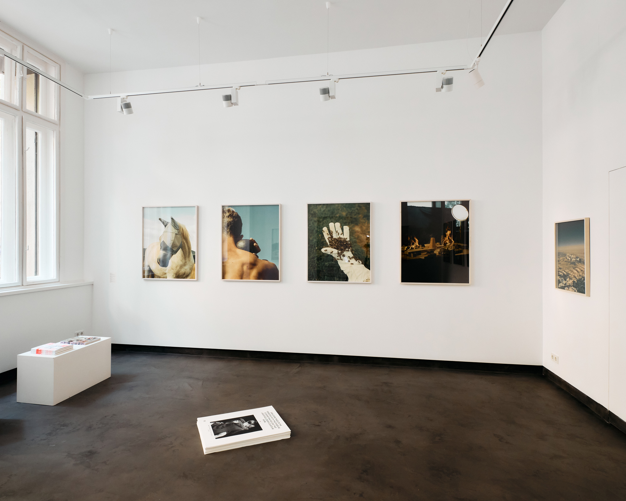 rechnitzer_geibl_kata_2025_10_08_3936