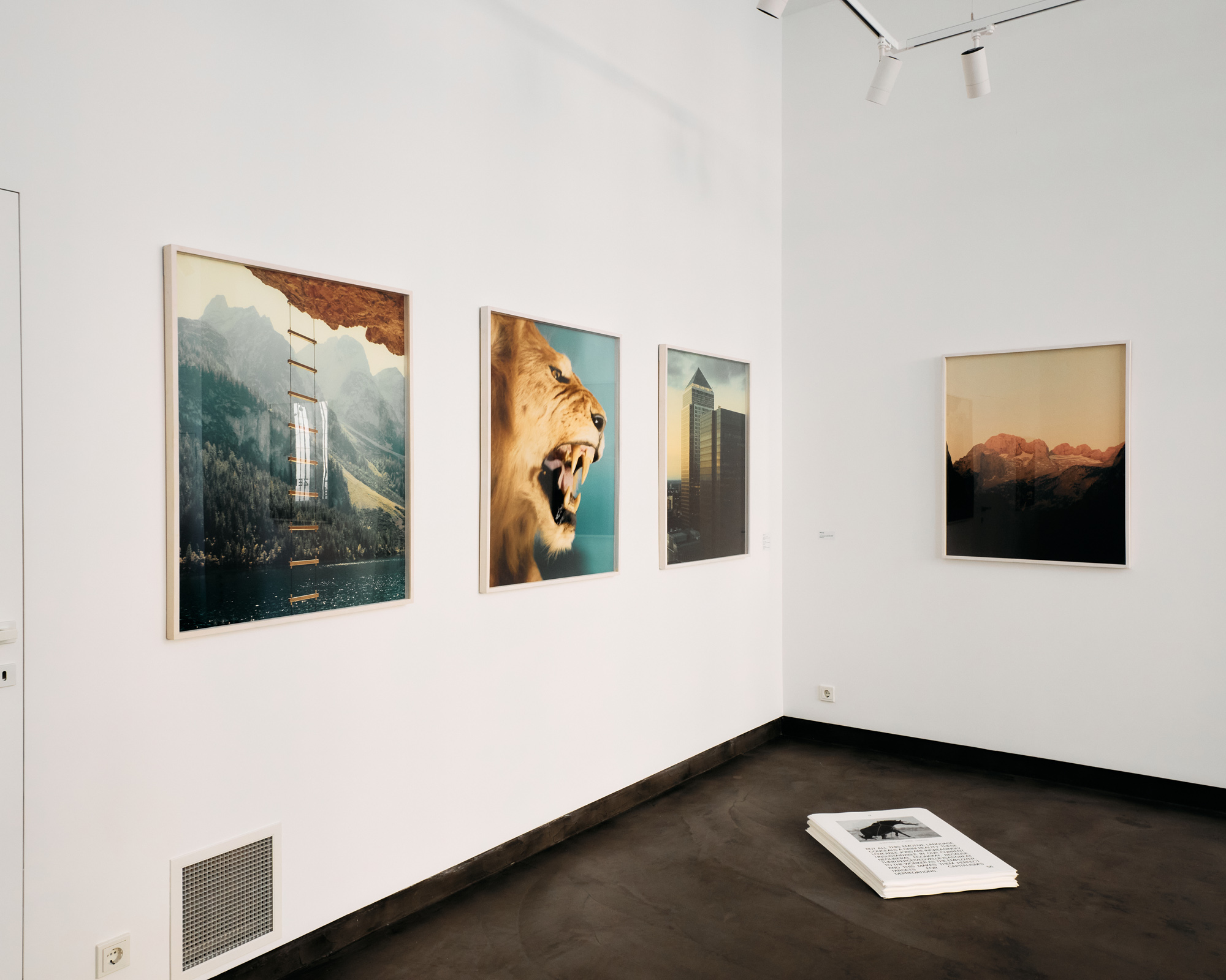 rechnitzer_geibl_kata_2025_10_08_3954